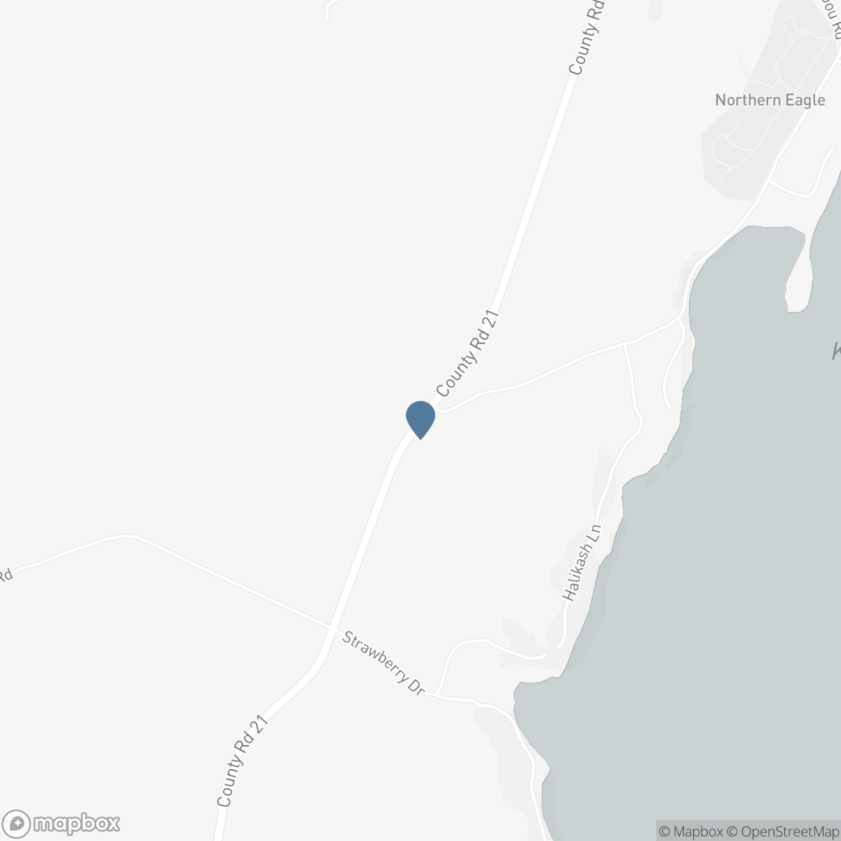 2875 COUNTY ROAD 21 ROAD, Minden Hills, Ontario K0M 2K0